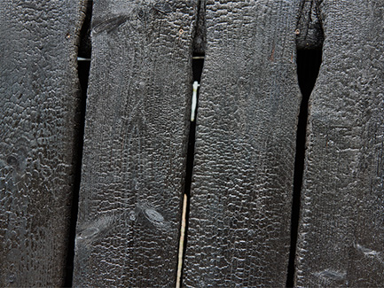 Monika Göetz Monika Göetz