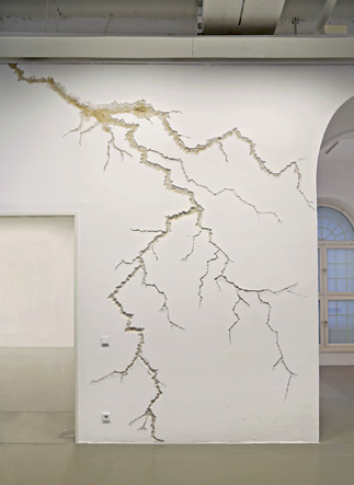 Monika Goetz